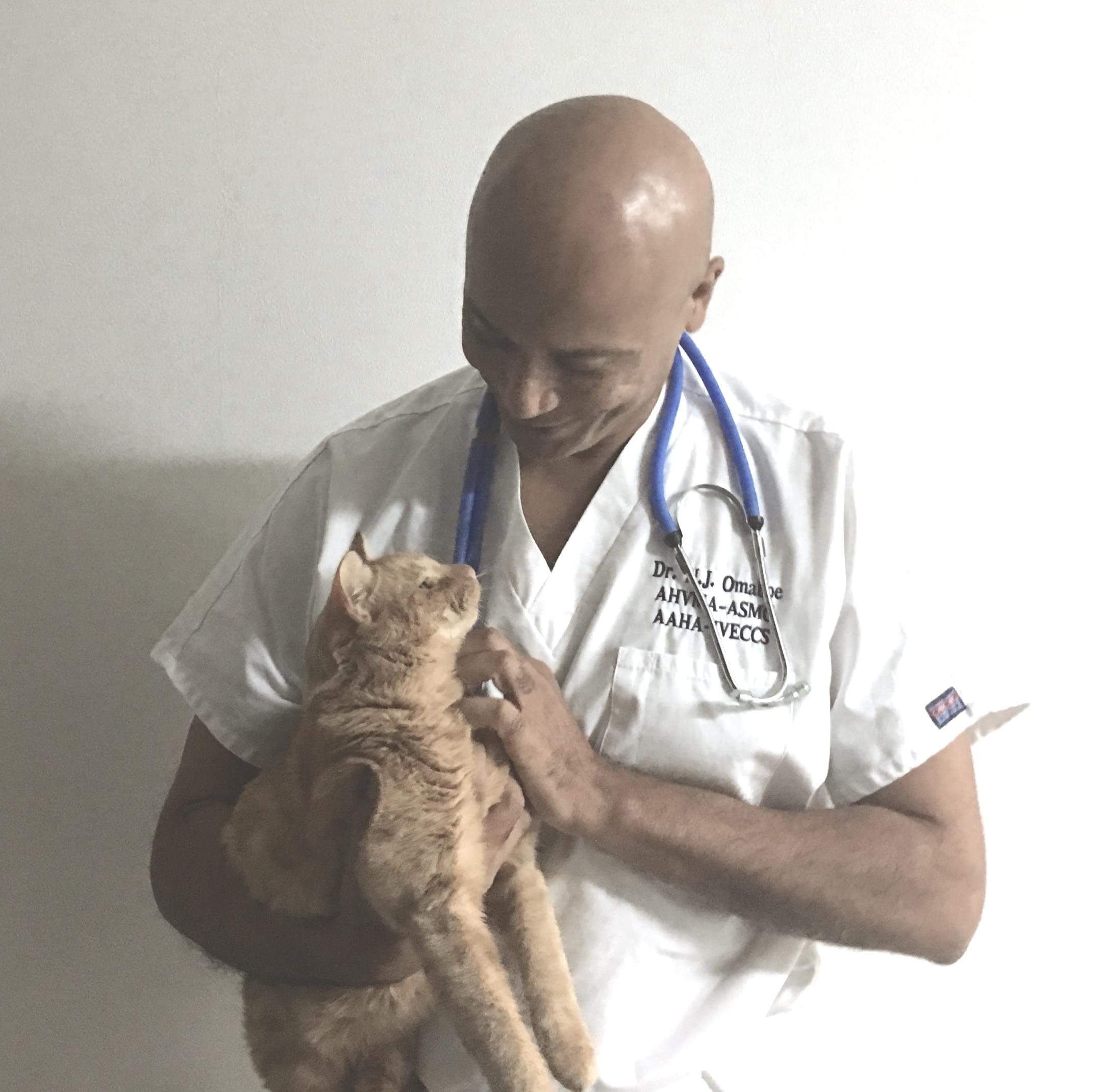 bioresonance, Cabinet Vétérinaire International,Geneva Veterinarian, veterinarian Geneva