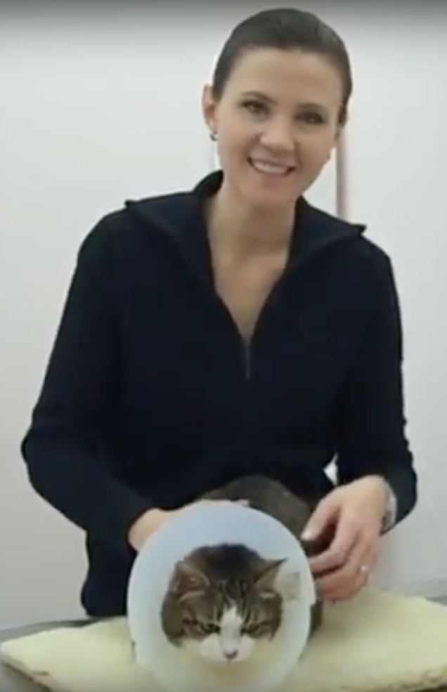  Cabinet Vétérinaire International, Geneva Veterinarian, veterinarian Geneva, Christine with owner