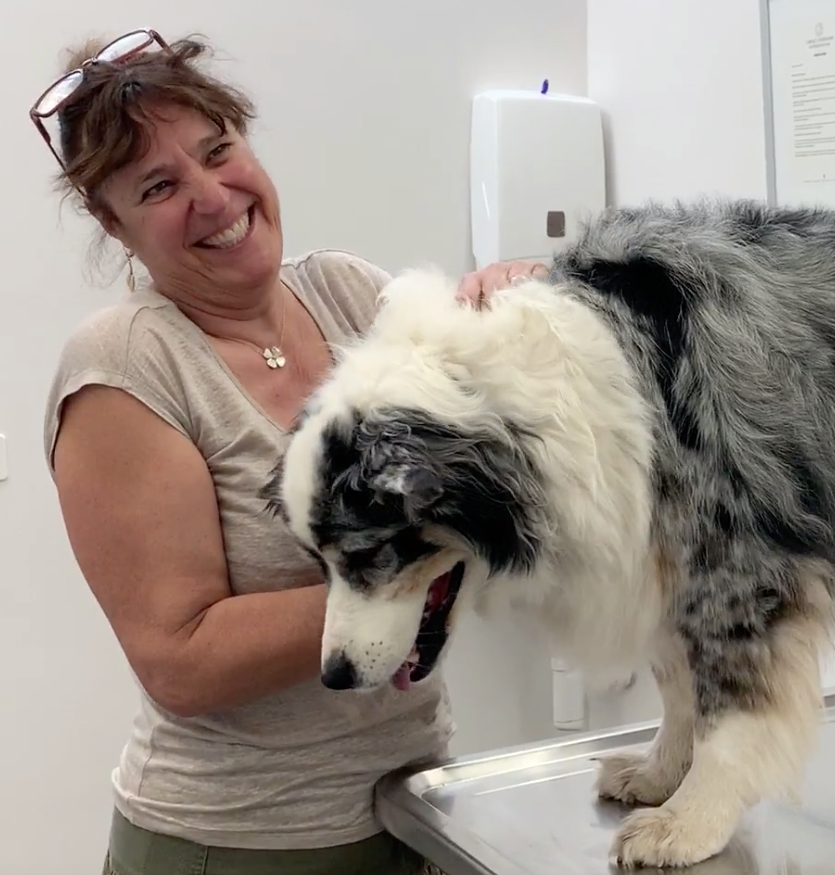  Cabinet Vétérinaire International, Geneva Veterinarian, veterinarian Geneva, Thila with owner