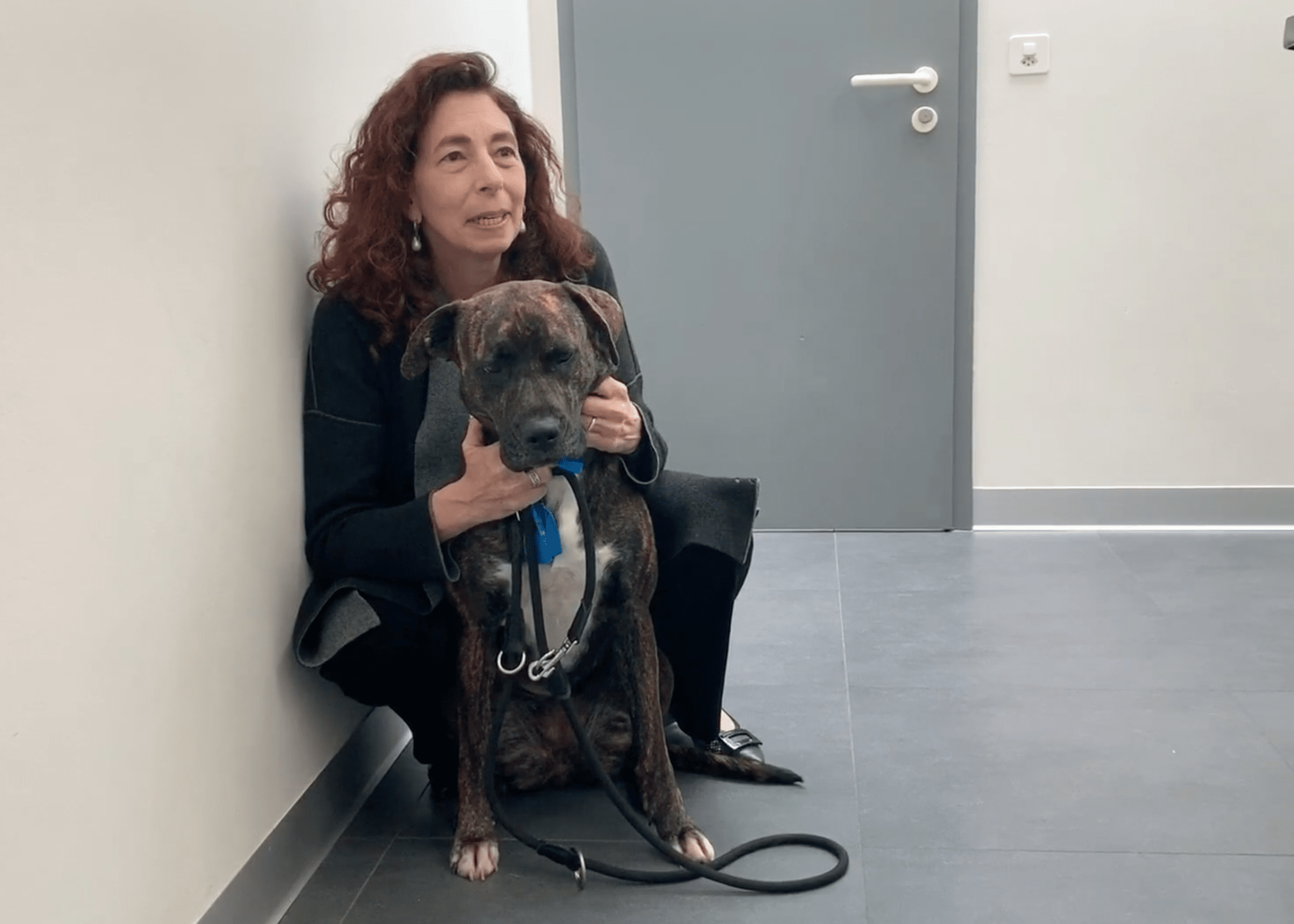  Cabinet Vétérinaire International,Geneva Veterinarian, veterinarian Geneva, maxi with owner