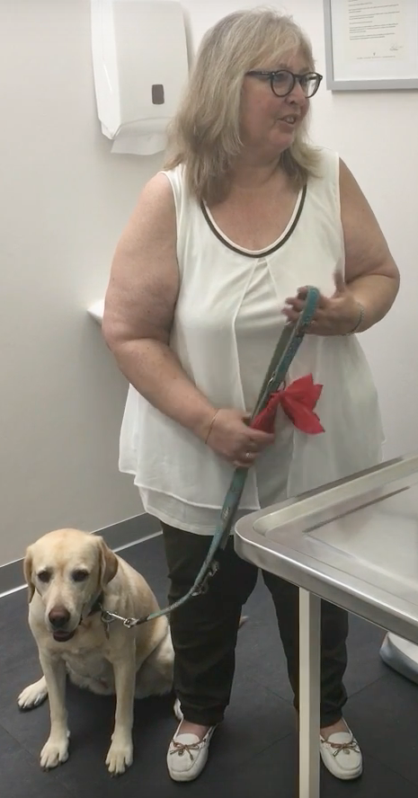  Cabinet Vétérinaire International, Geneva Veterinarian, veterinarian Geneva, bella Labrador with owner